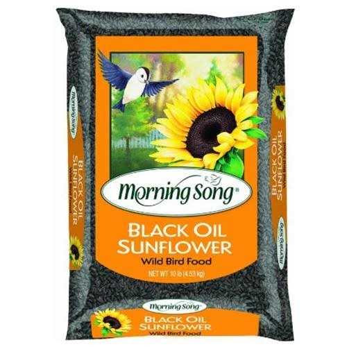 Morning Song Black Oil Sunflower Wild Bird Food - Healthber