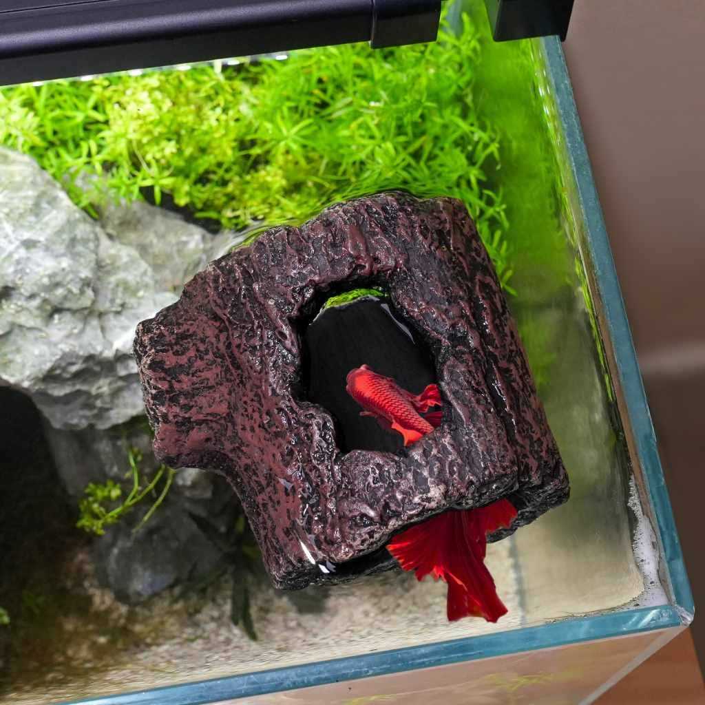 Zoo Med Betta Floating Log - Healthber