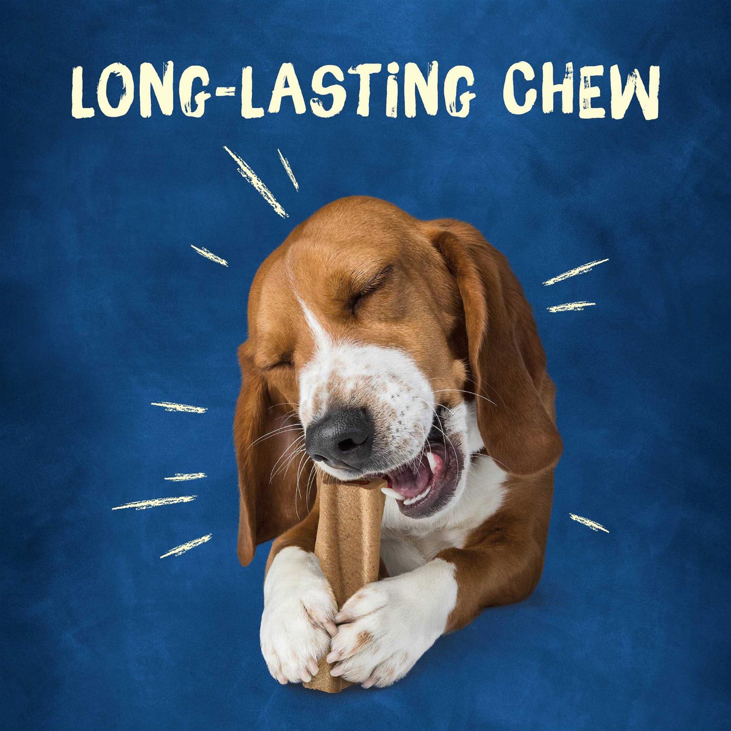 Purina Busy Bone Original Dog - Healthber