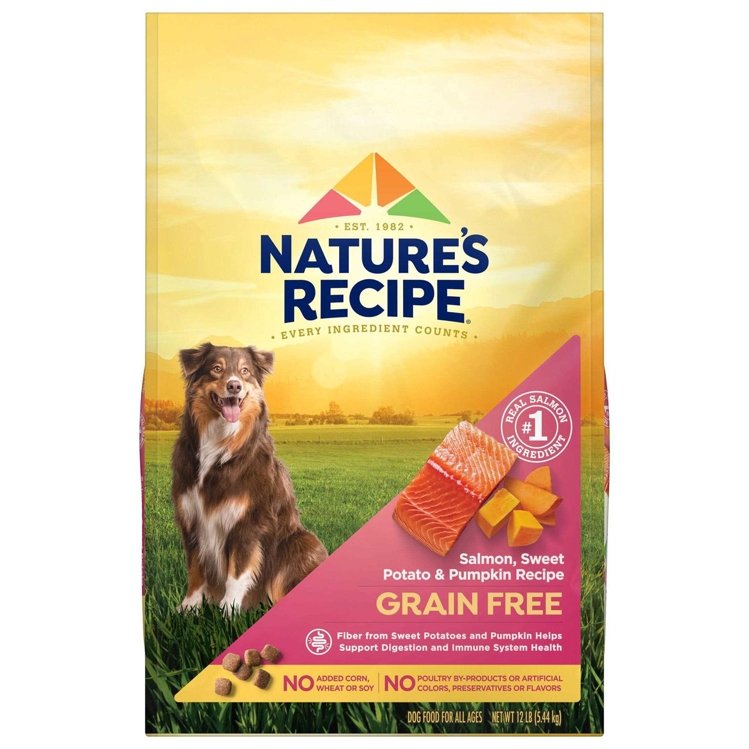 Nature’s Recipe Grain Free Salmon Sweet Potato & Pumpkin Recipe Dry Dog Food - Healthber