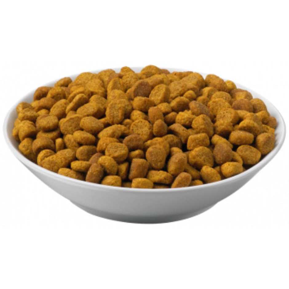 Purina Pro Plan Veterinary Diets OM Overweight Management Formula Dry Cat Food - Healthber