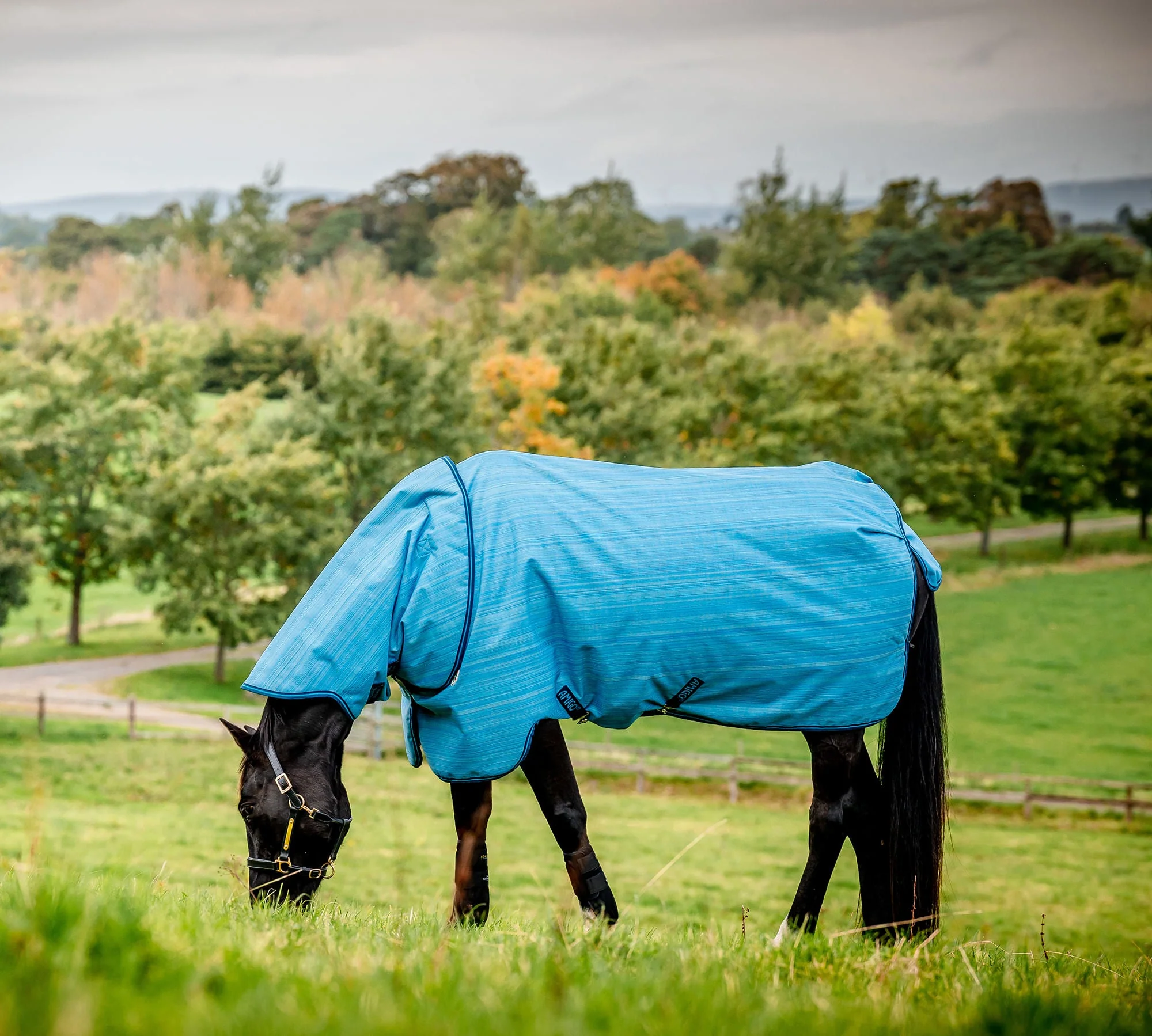 Amigo Hero 900 Revive Plus Medium Weight Horse Turnout Blanket - Healthber