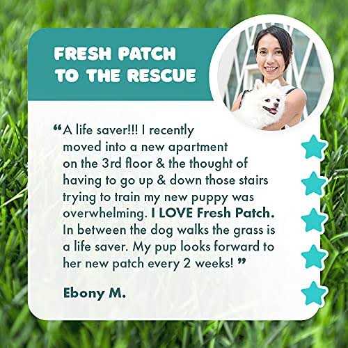 Fresh Patch Large Real Grass Pee and Potty Training Pad for Dogs between 15 and 30 pounds - Healthber