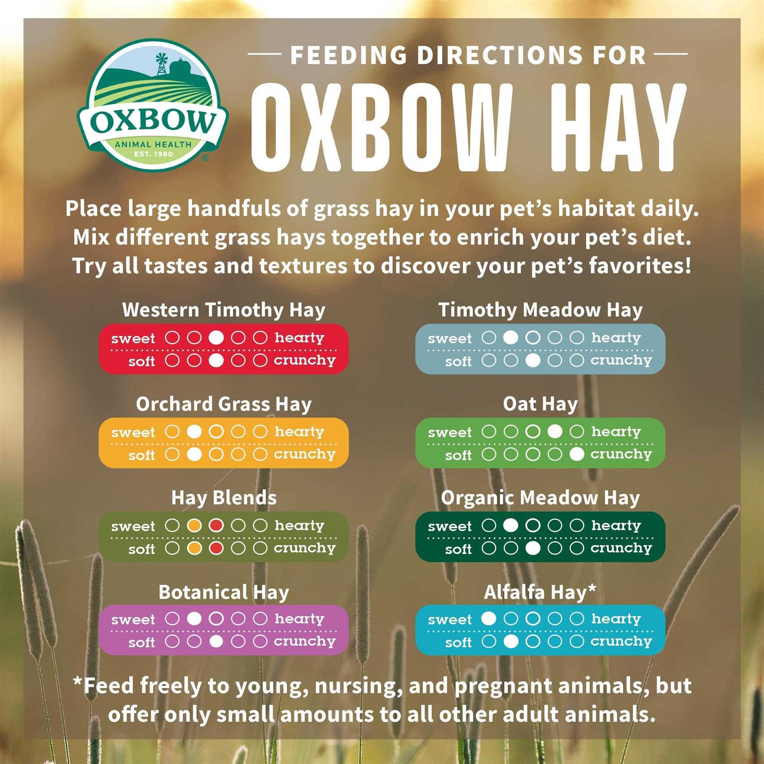 Oxbow Orchard Grass Hay - Healthber