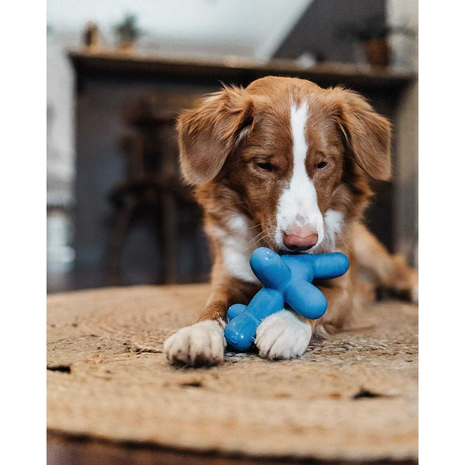 Charming Pet Latex Balloon Dog Toy - Healthber