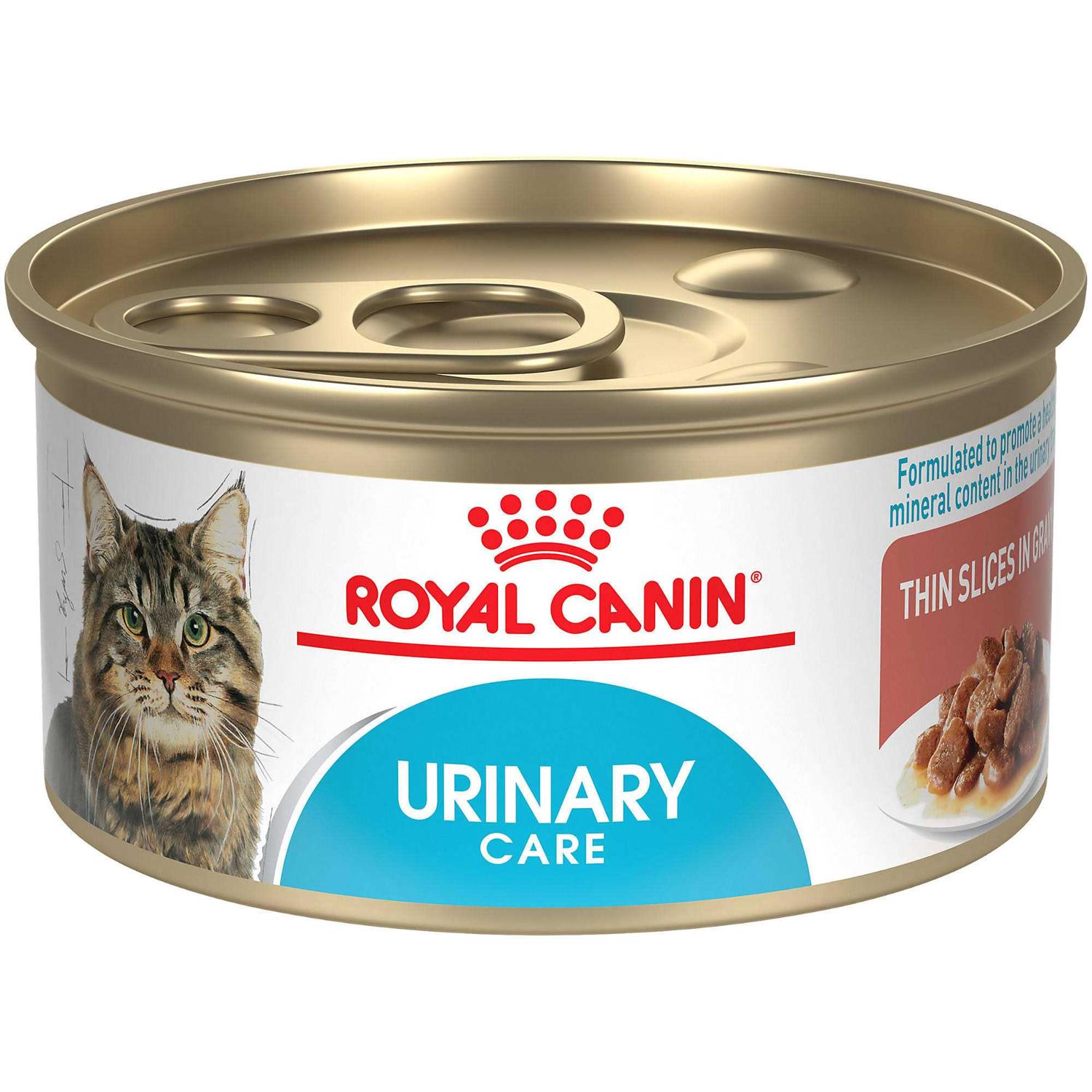 Royal Canin Feline Care Nutrition Urinary Care Thin Slices in Gravy Wet Cat Food - Healthber
