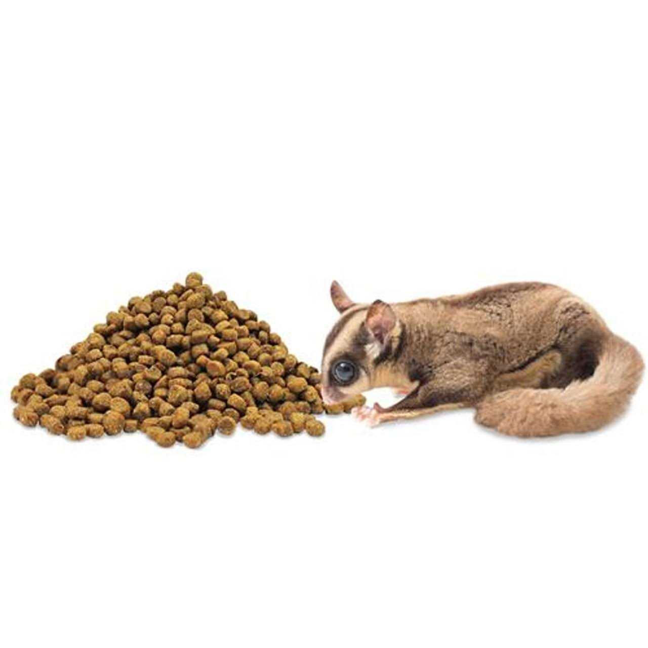 Exotic Nutrition ZooPro Glider Essential Sugar Glider Food - Healthber