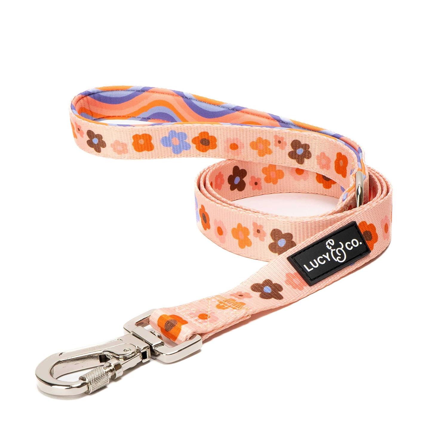 Lucy & Co Leash - Healthber