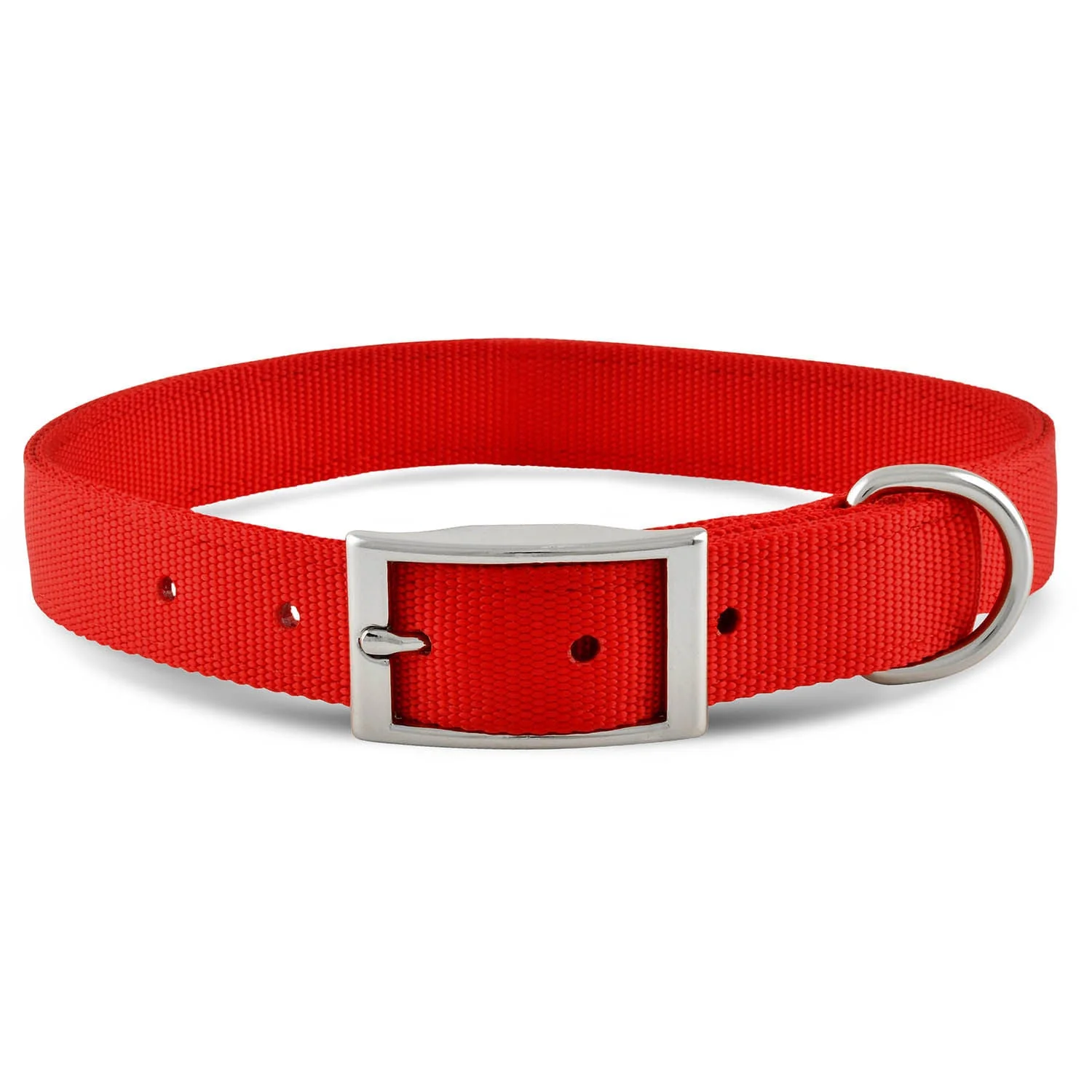 Solid Web Nylon Dog Collar, 1