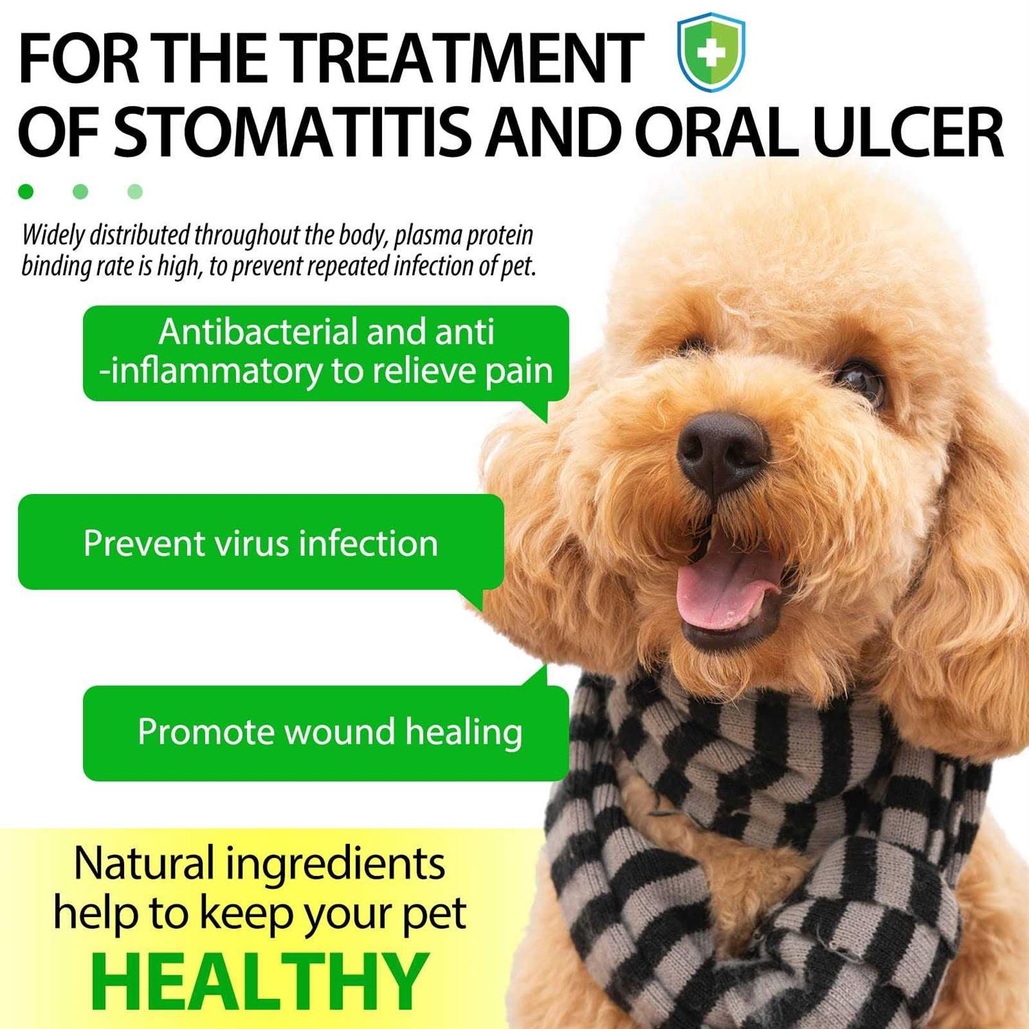 Antibiotics for Dogs, Natural Dog Antibiotics Supports Dog Allergy and Itch Relief - Healthber