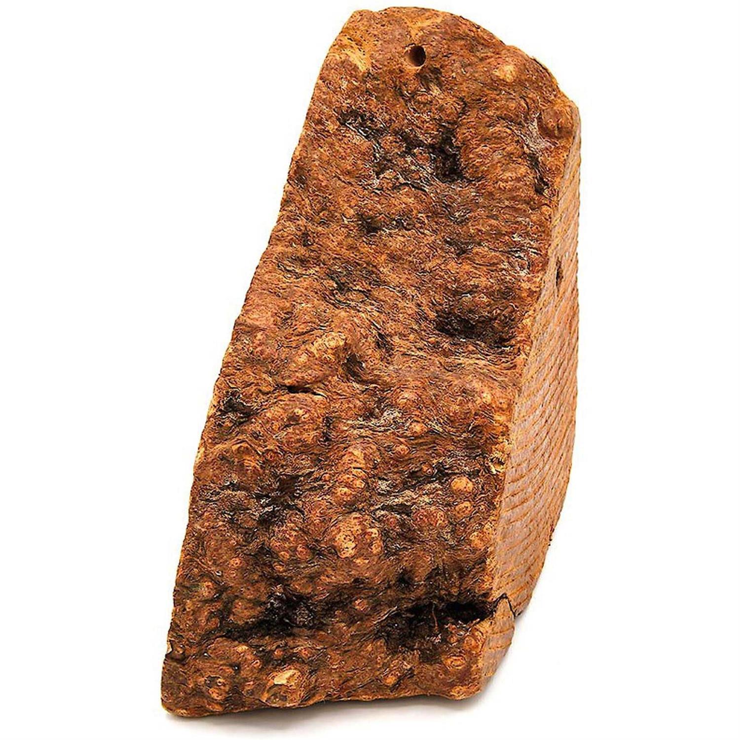 Little Loyals Premium Heather Tree Wood Dog Chew - Healthber