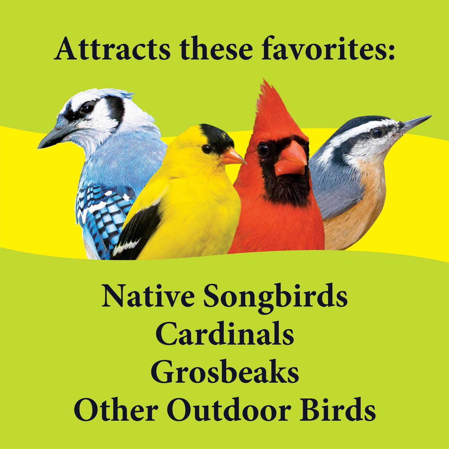 3-d Pet Products Deck Porch Patio Blend Wild Bird Food - Healthber