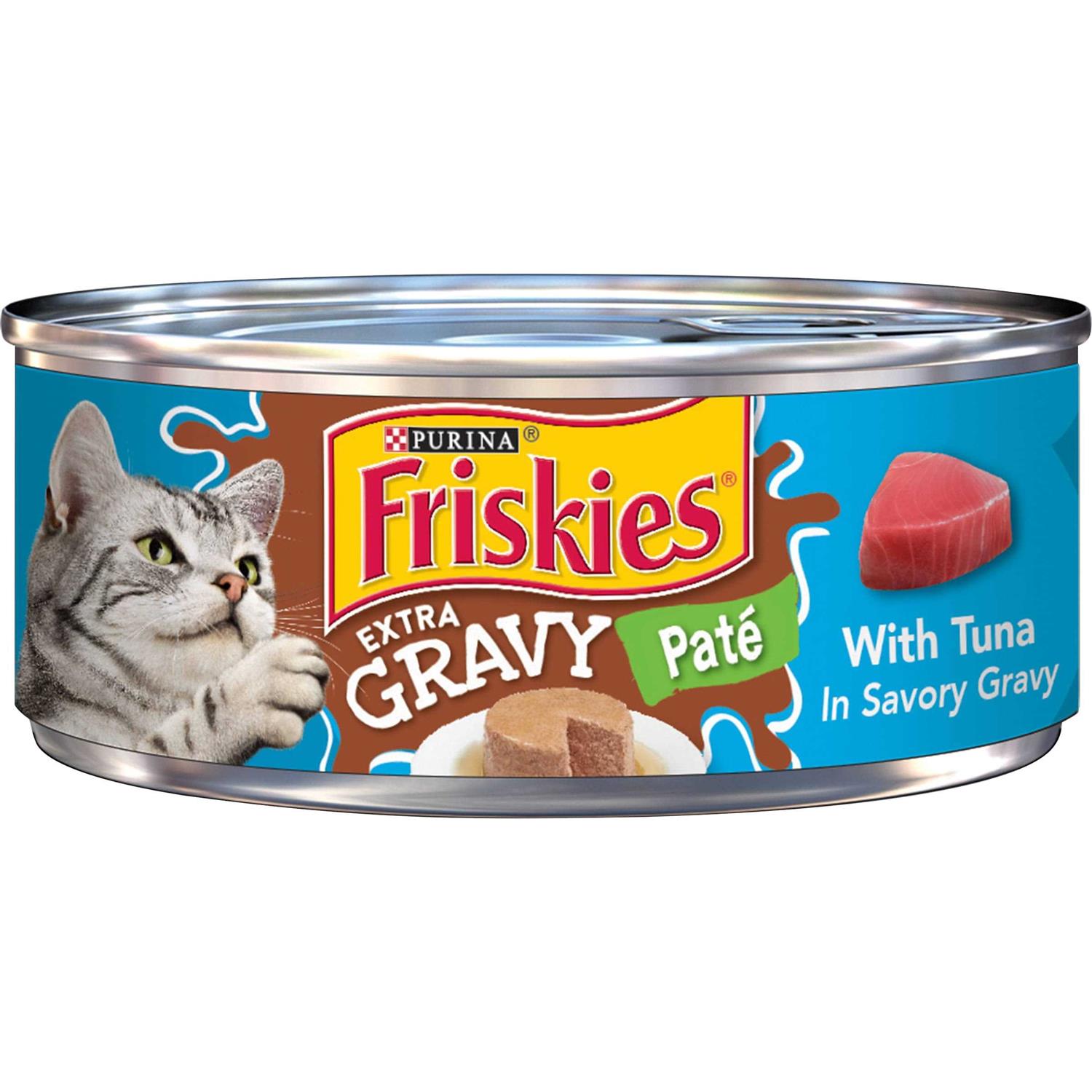 Purina Friskies Extra Gravy Pate Wet Cat Food Gravy - Healthber