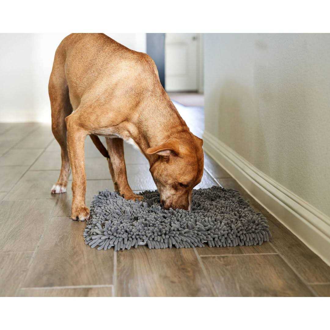 Pet Parents Forager Slow Feeder Cat & Dog Snuffle Mat & Feeding Mat - Healthber