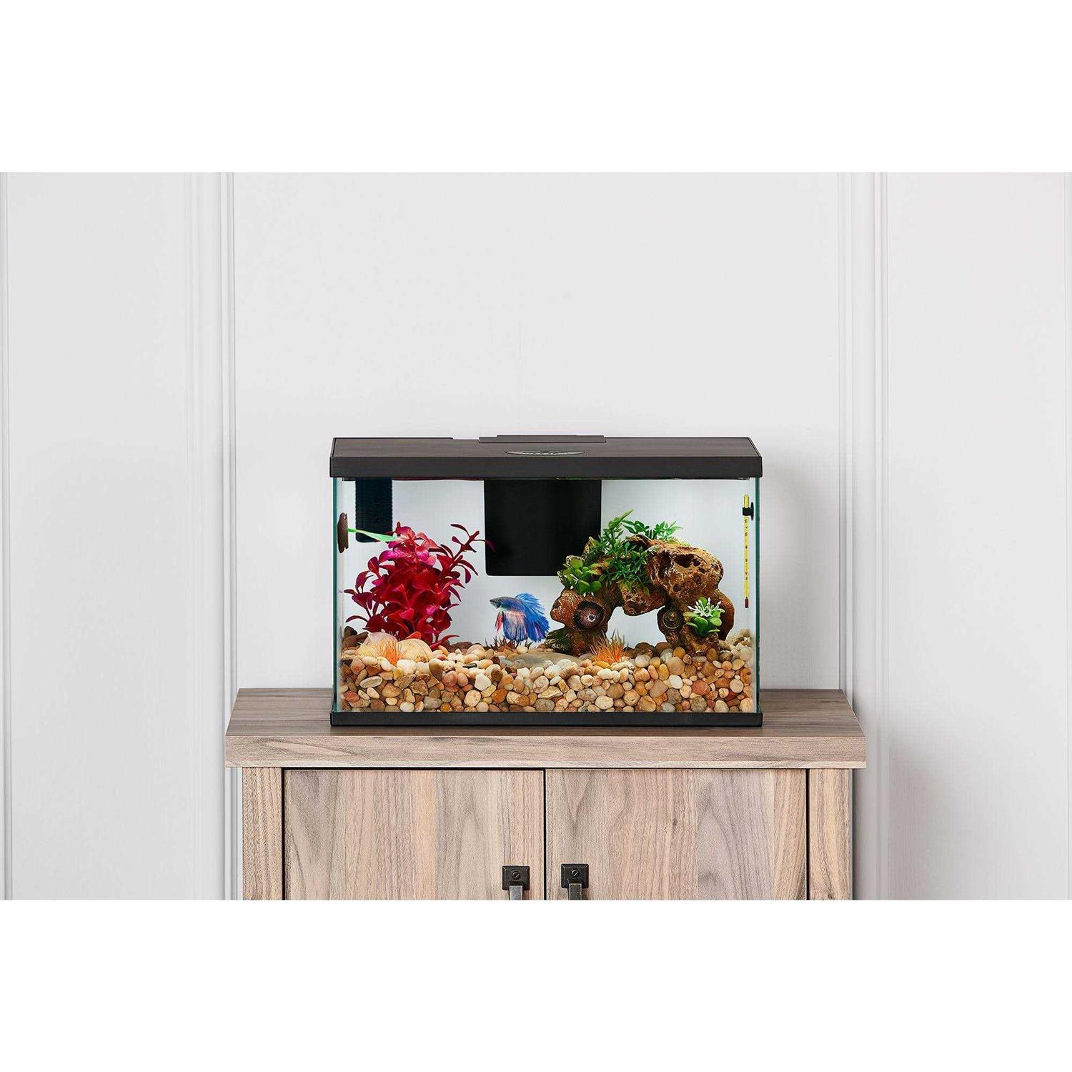 Top Fin Betta Tank Starter Kital - Healthber