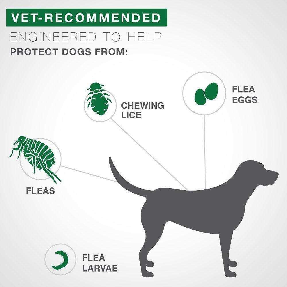 Advantage II Medium Dog - Healthber