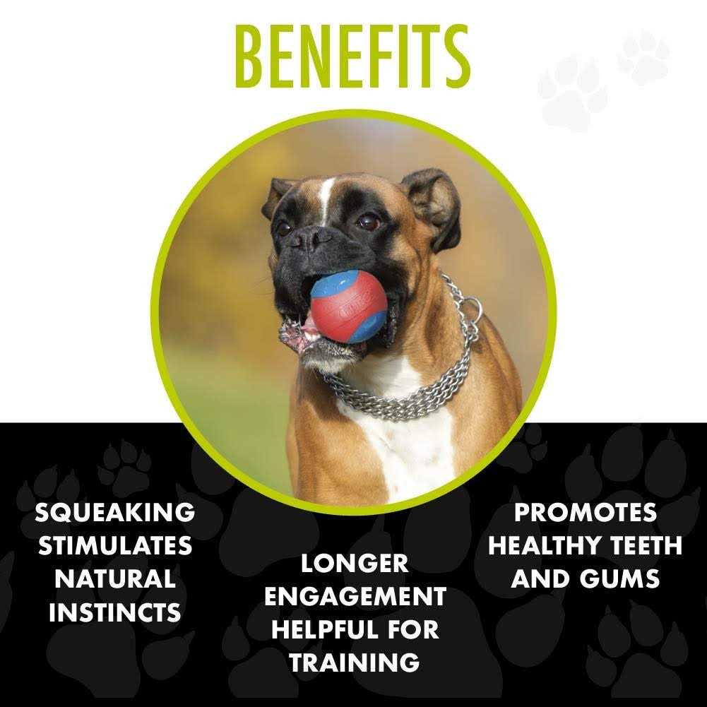 Hero Outer Armor Ball Dog Toy - Healthber