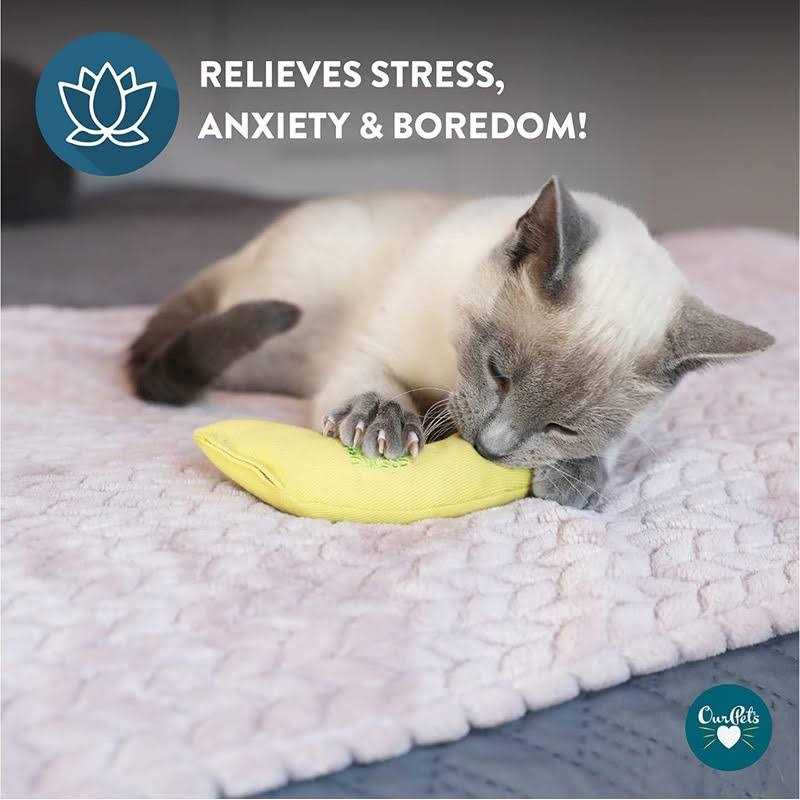 Vibrant Life Catnip Filled Banana Shaped Cat Toy for Cats & Kittens - Healthber