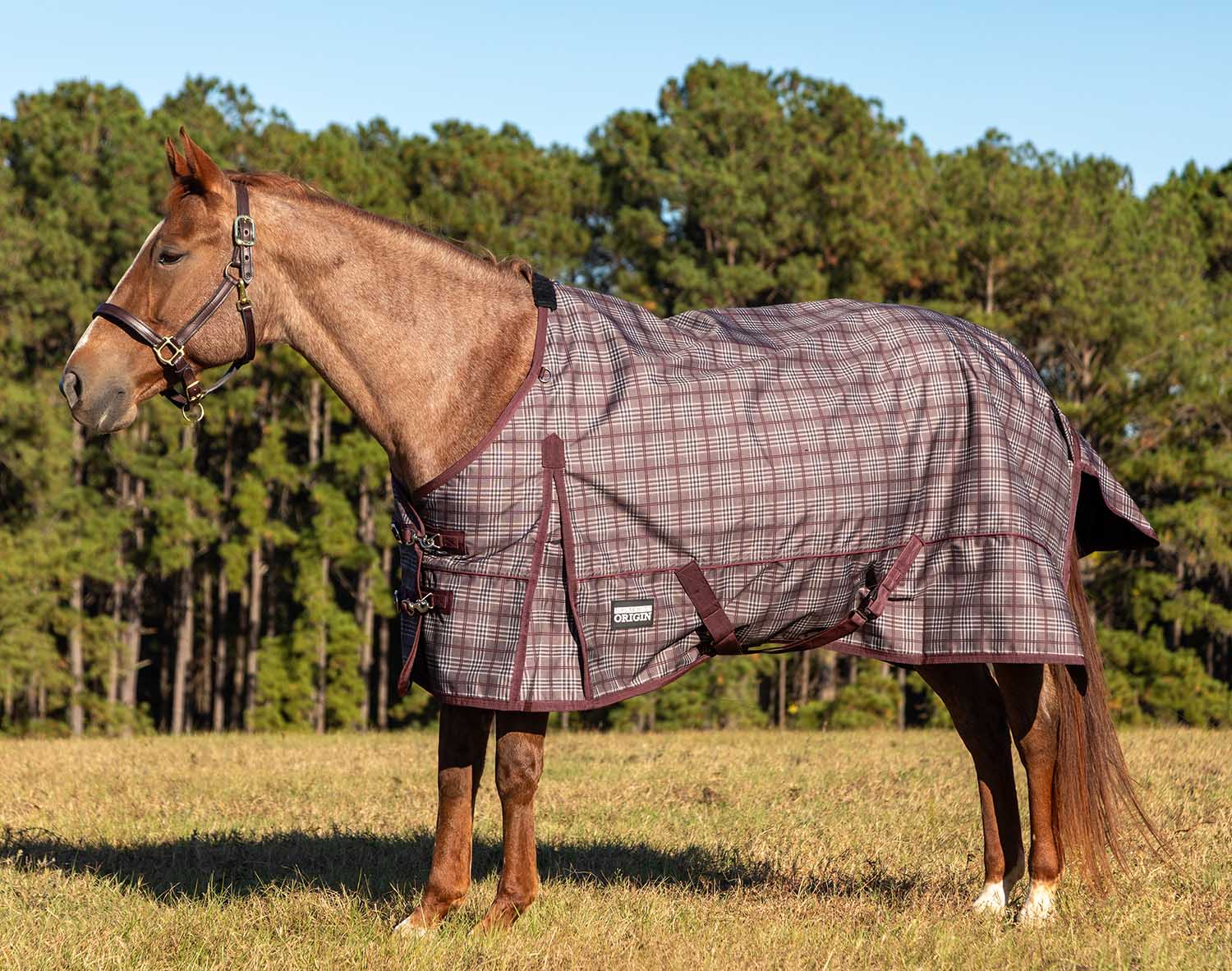 Poplar Head Origin 600 Denier Turnout Blanket, 0 Gram, Espresso and Wine Plaid - Healthber
