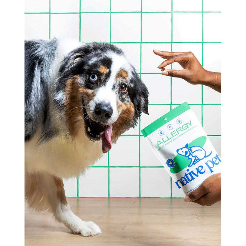 Native Pet Allergy Chews for Dogs - Healthber