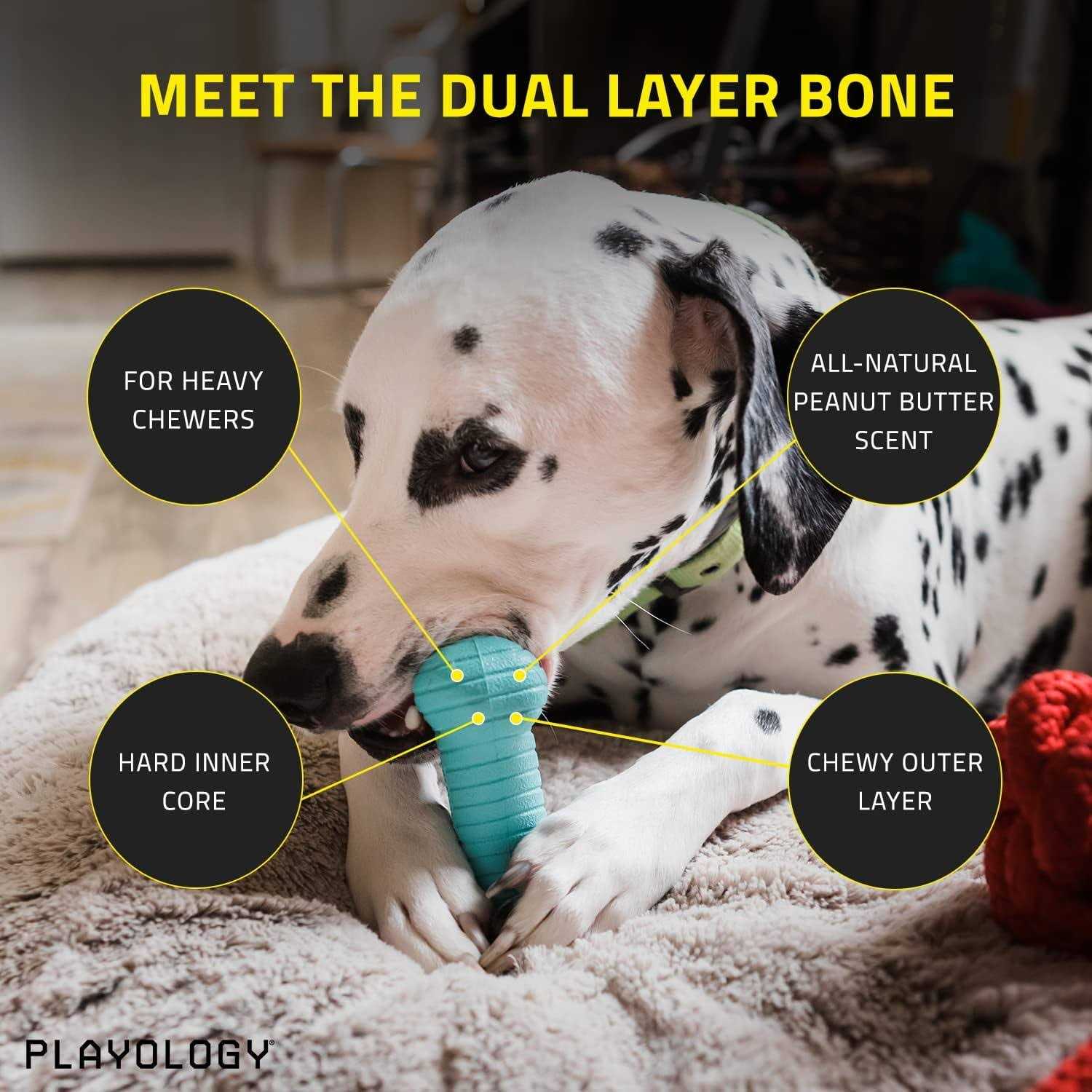 Playology Dual Layer Bone Peanut Butter Dog Toy - Healthber