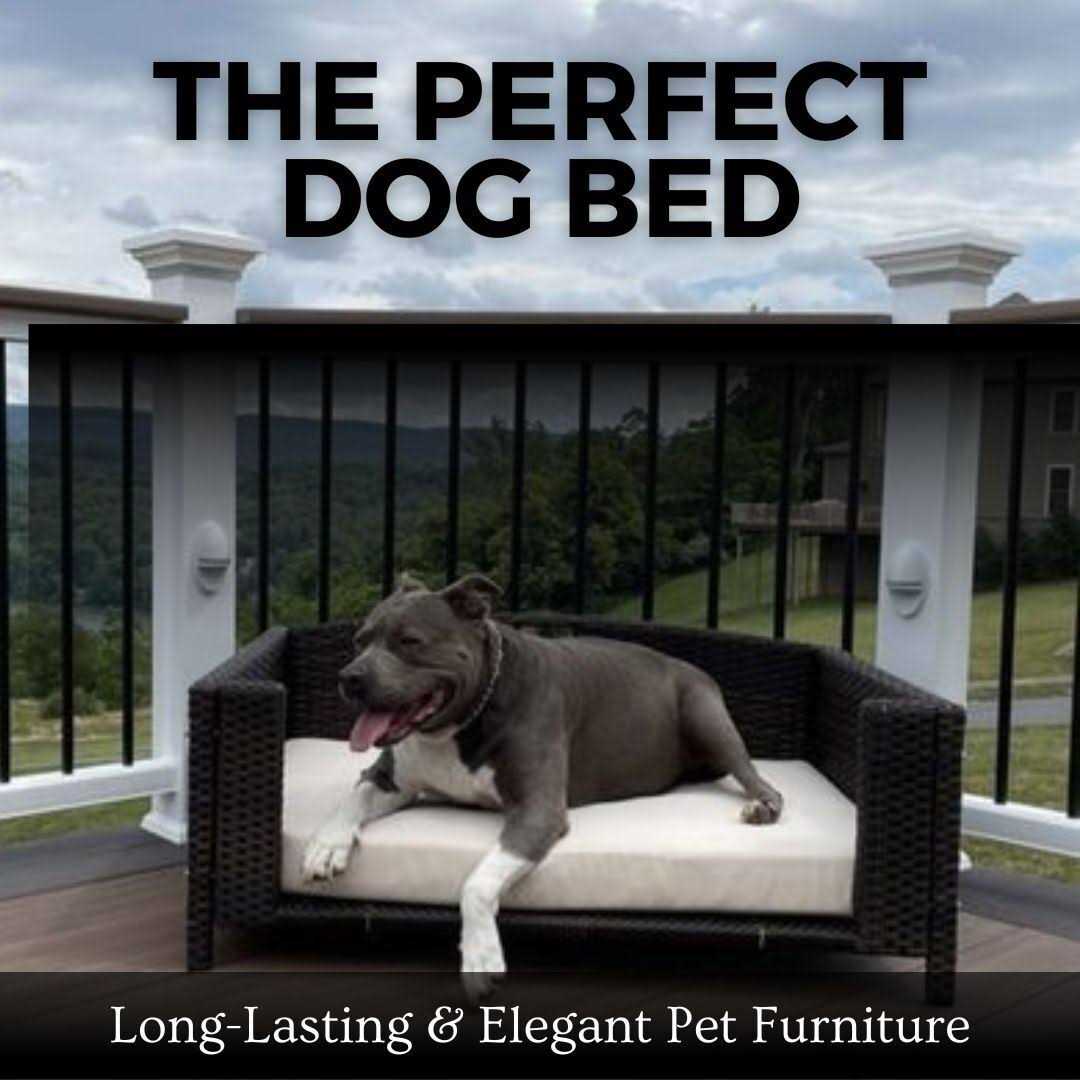 Iconic Pet Rattan Rectangular Pet Sofa - Healthber