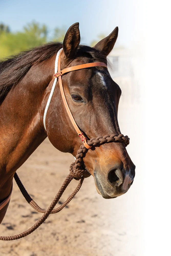 Professional's Choice Loping Hackamore - Healthber