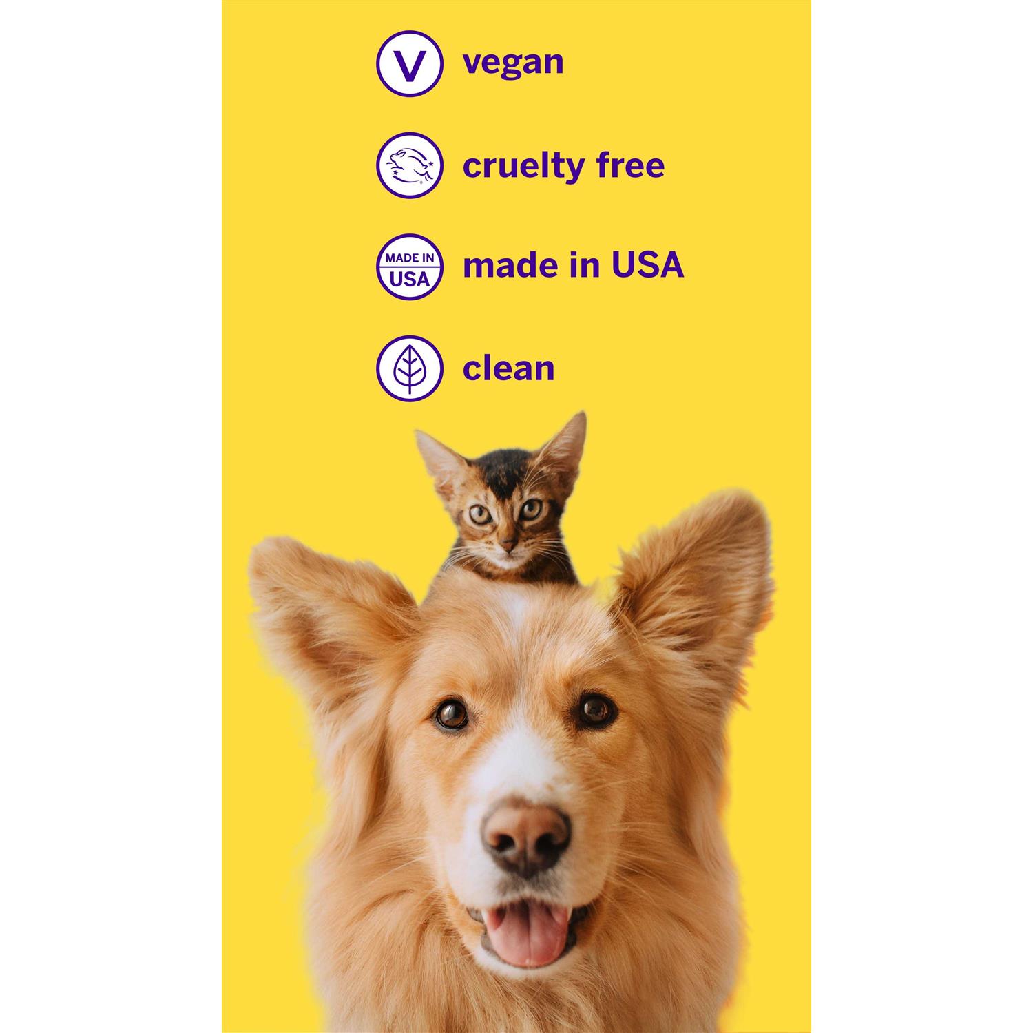Petsmile Professional Dog Toothpaste - Healthber