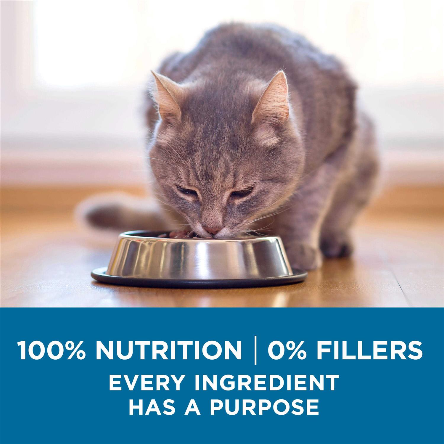 Purina ONE High Protein Natural Senior Dry Cat Food - Healthber