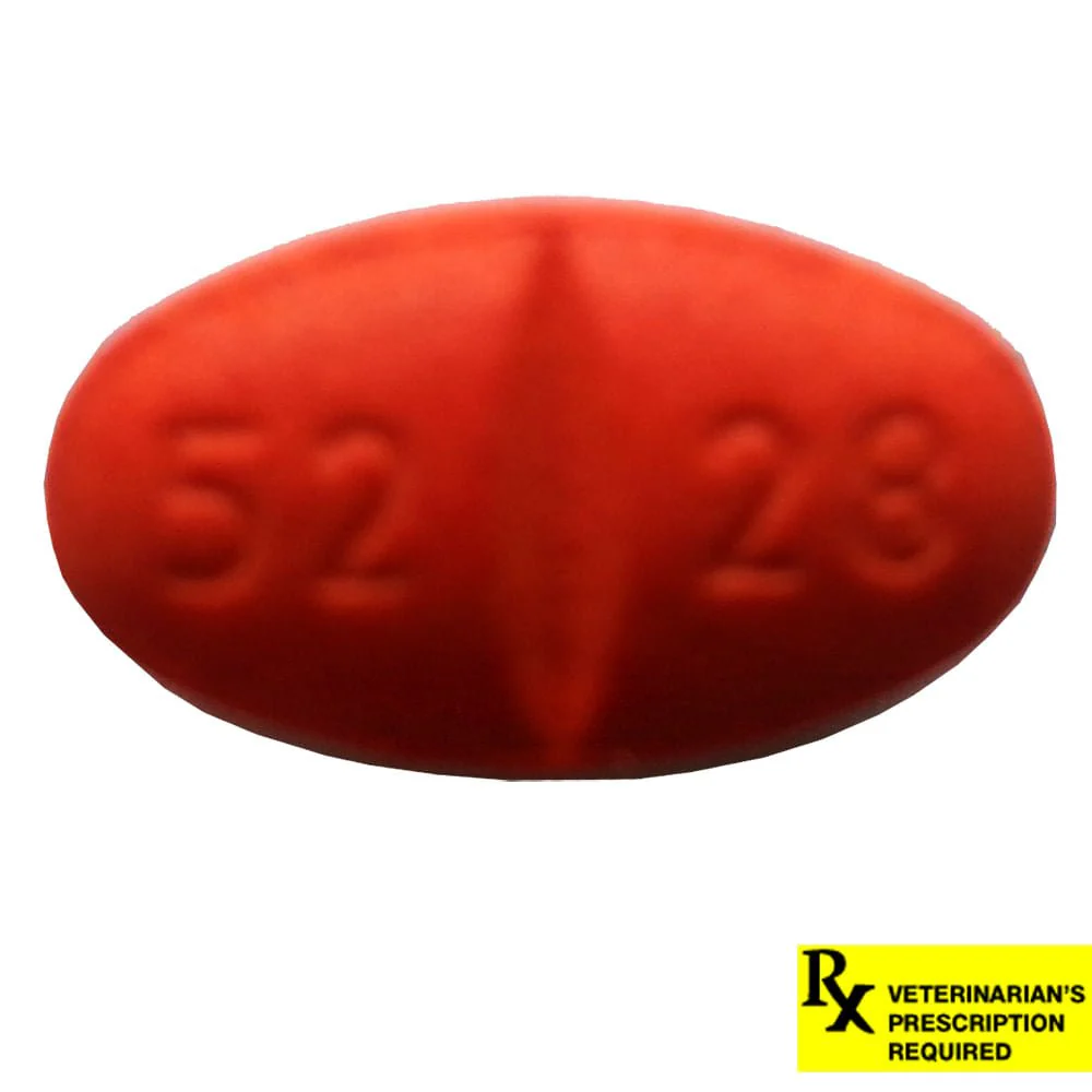 Rx Simplicef Tablet - Healthber