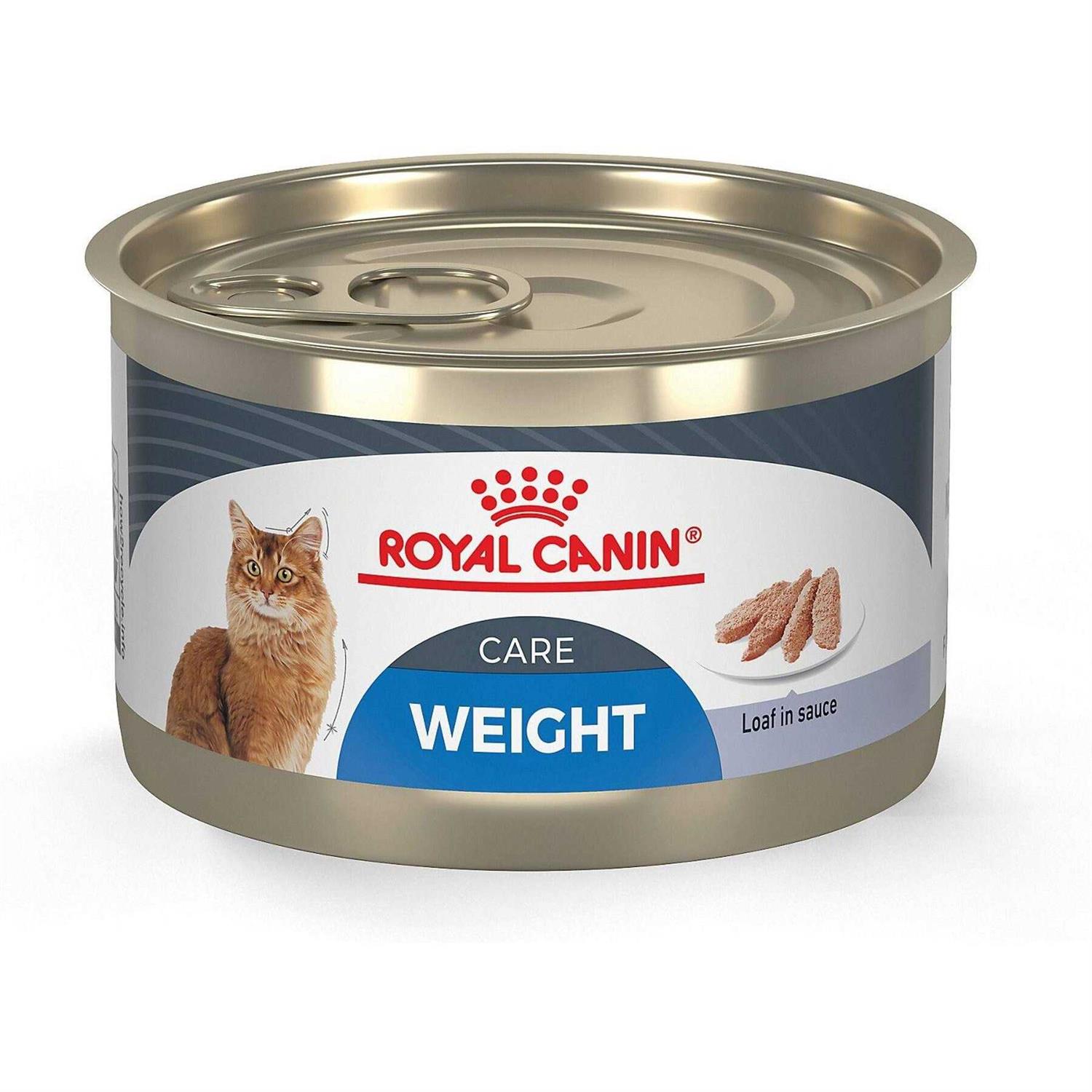 Royal Canin Loaf in Sauce Canned Cat Food - Healthber