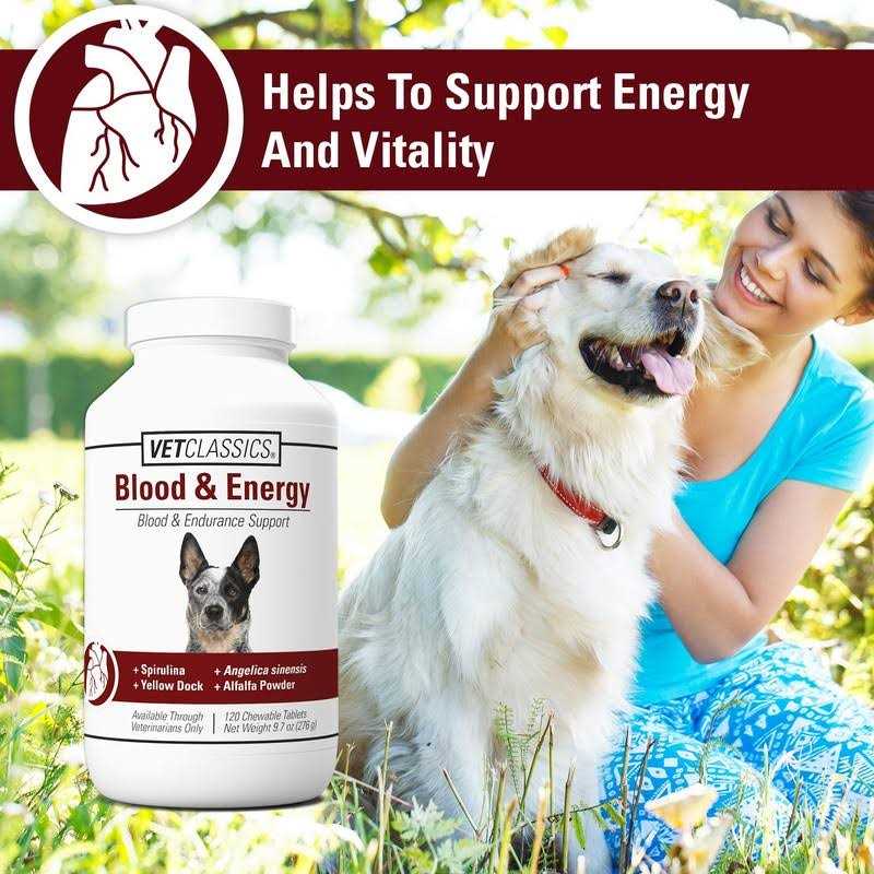 VetClassics Blood & Energy Support - Healthber