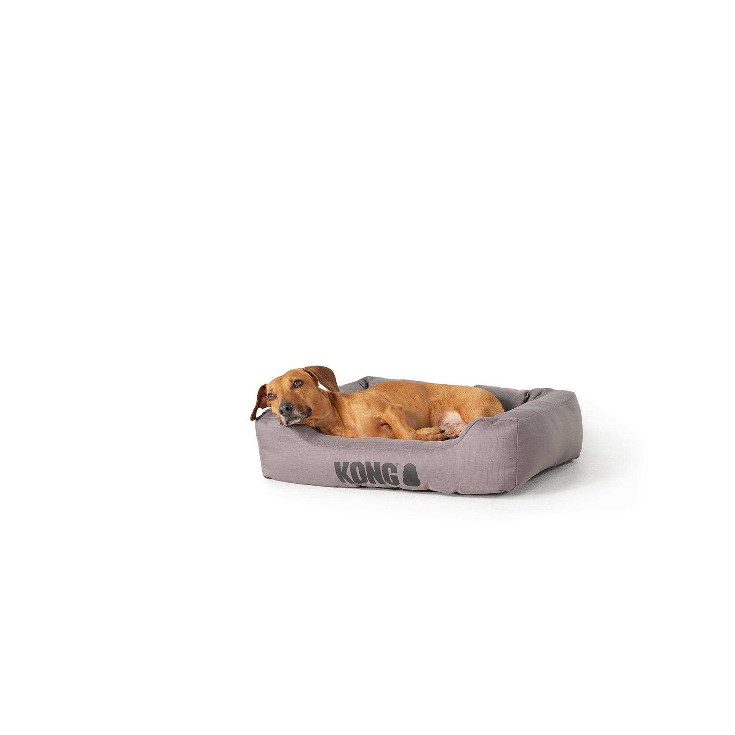 Kong 4-Sided Cuddler Dog Bed - Healthber