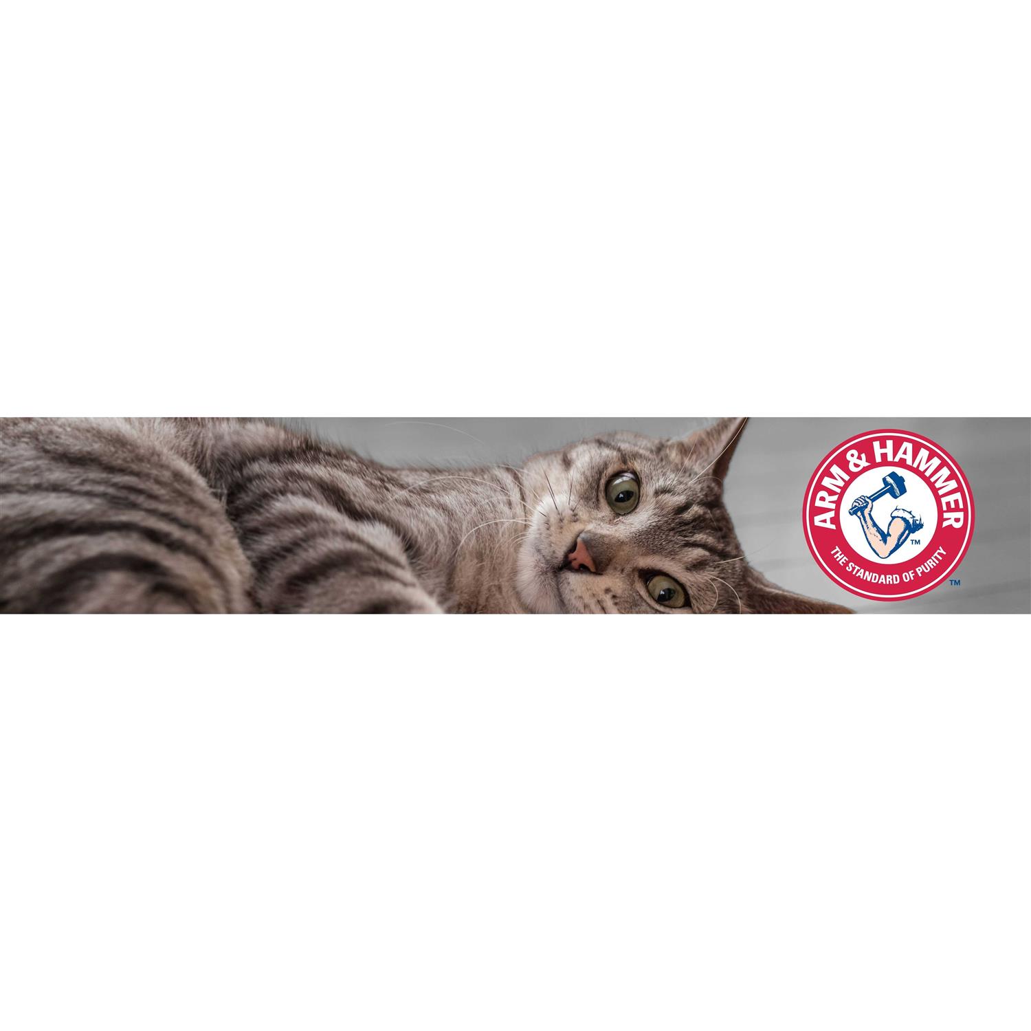 Arm & Hammer Clump & Seal Platinum Multi-Cat Complete Odor Sealing Clumping Cat Litter - Healthber