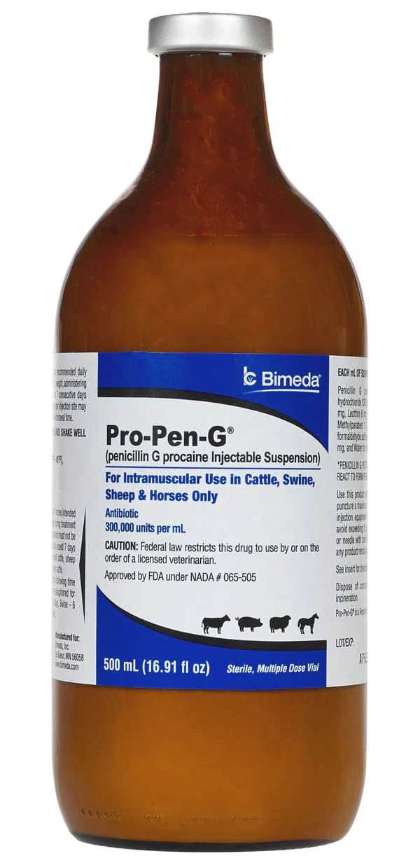 Rx Pro Pen G (penicillin G procaine) Injectable Solution for Cattle, Sheep, Swine, & Horses - Healthber