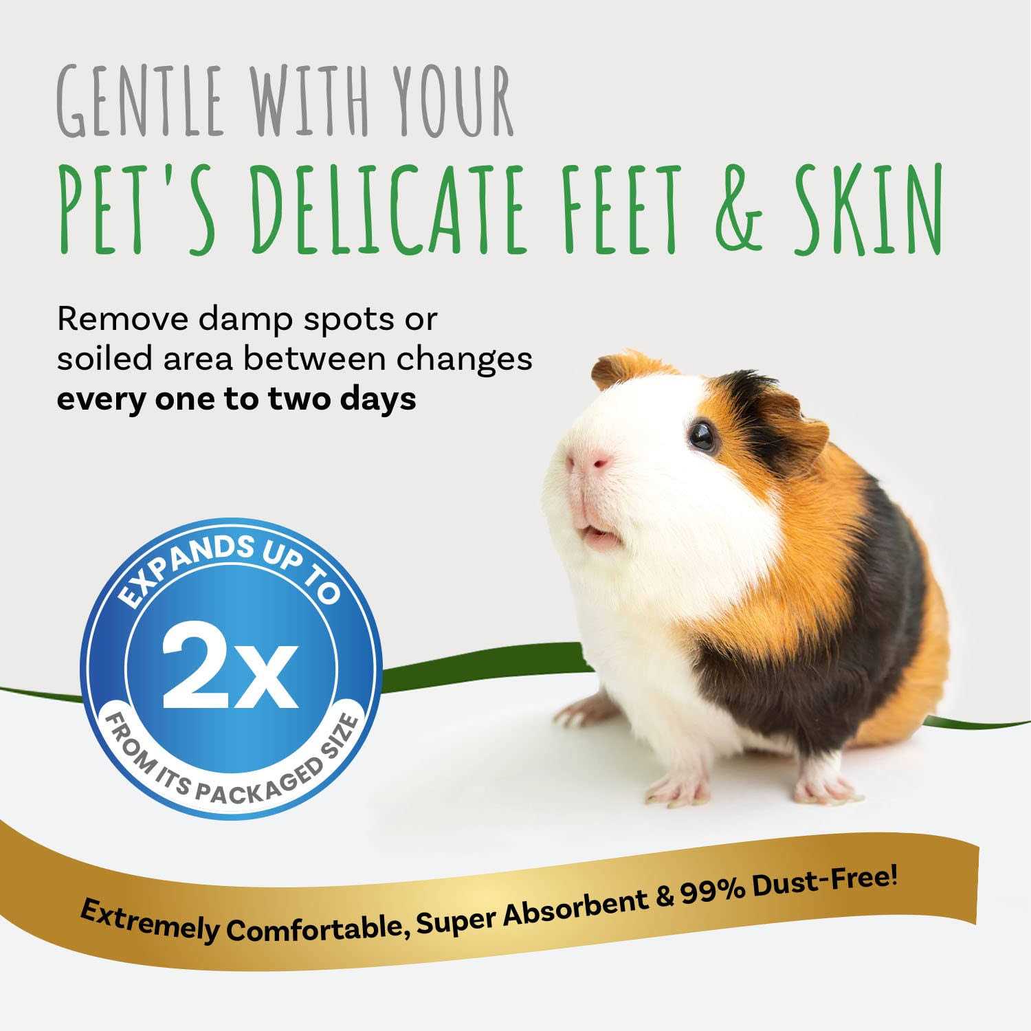 Small Pet Select Aspen Bedding - Healthber