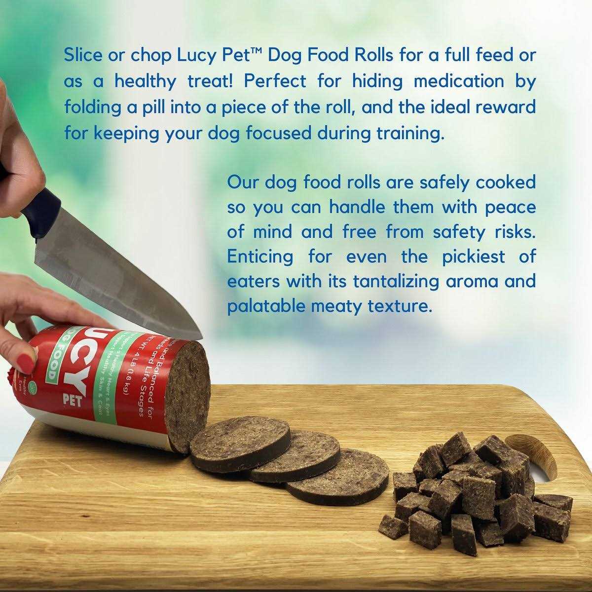Lucy Pet Products Beef Dog Food Roll - Healthber
