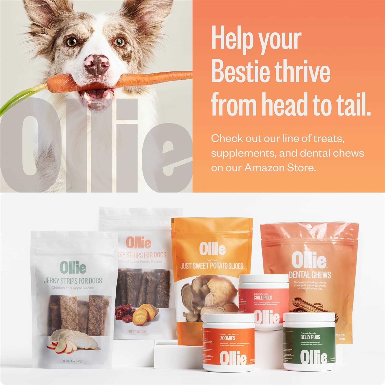 Ollie Dental Chews For Dogs Dog Breath Treats Dog Teeth Cleaning Treat - Healthber