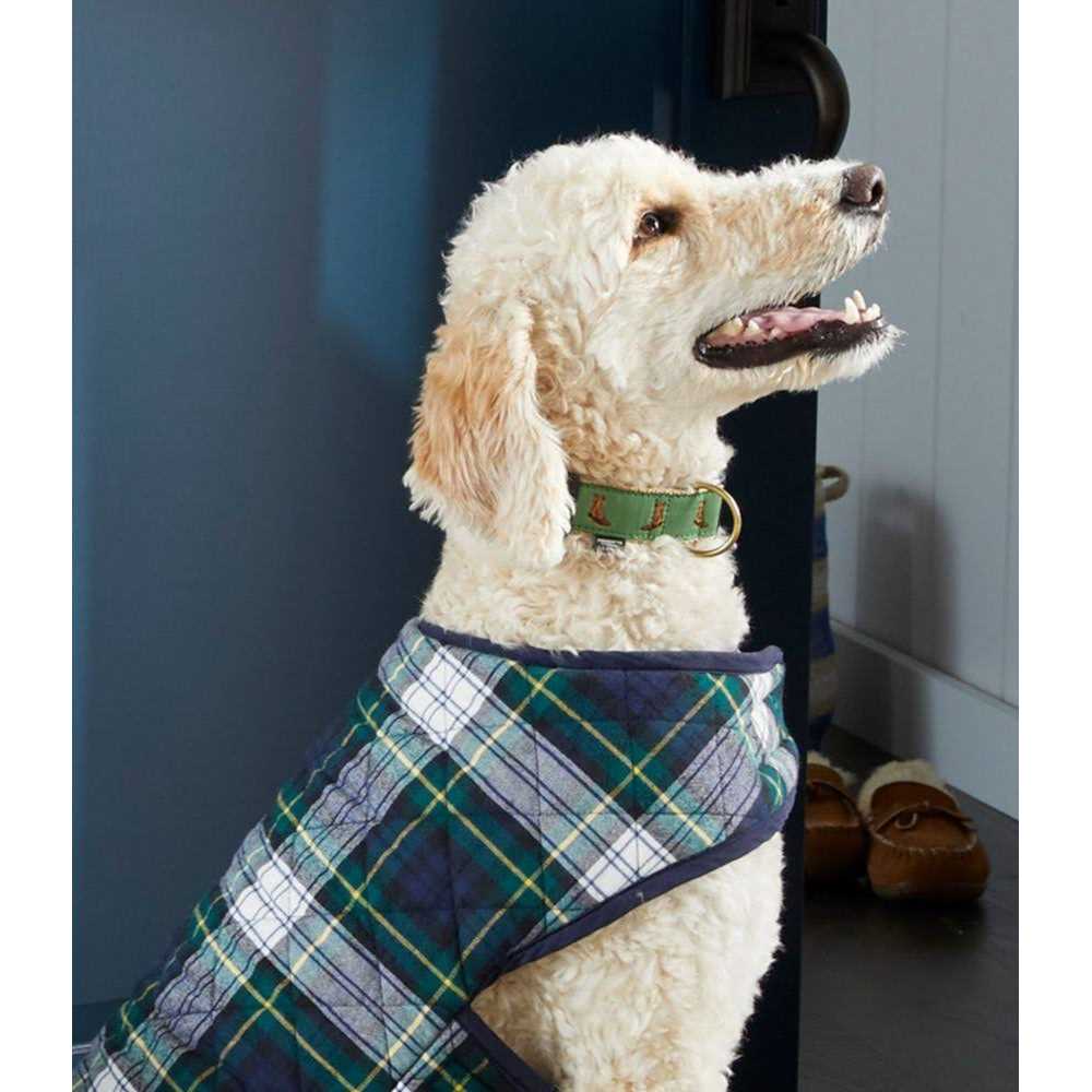 L.L.Bean Novelty Dog Collar - Healthber