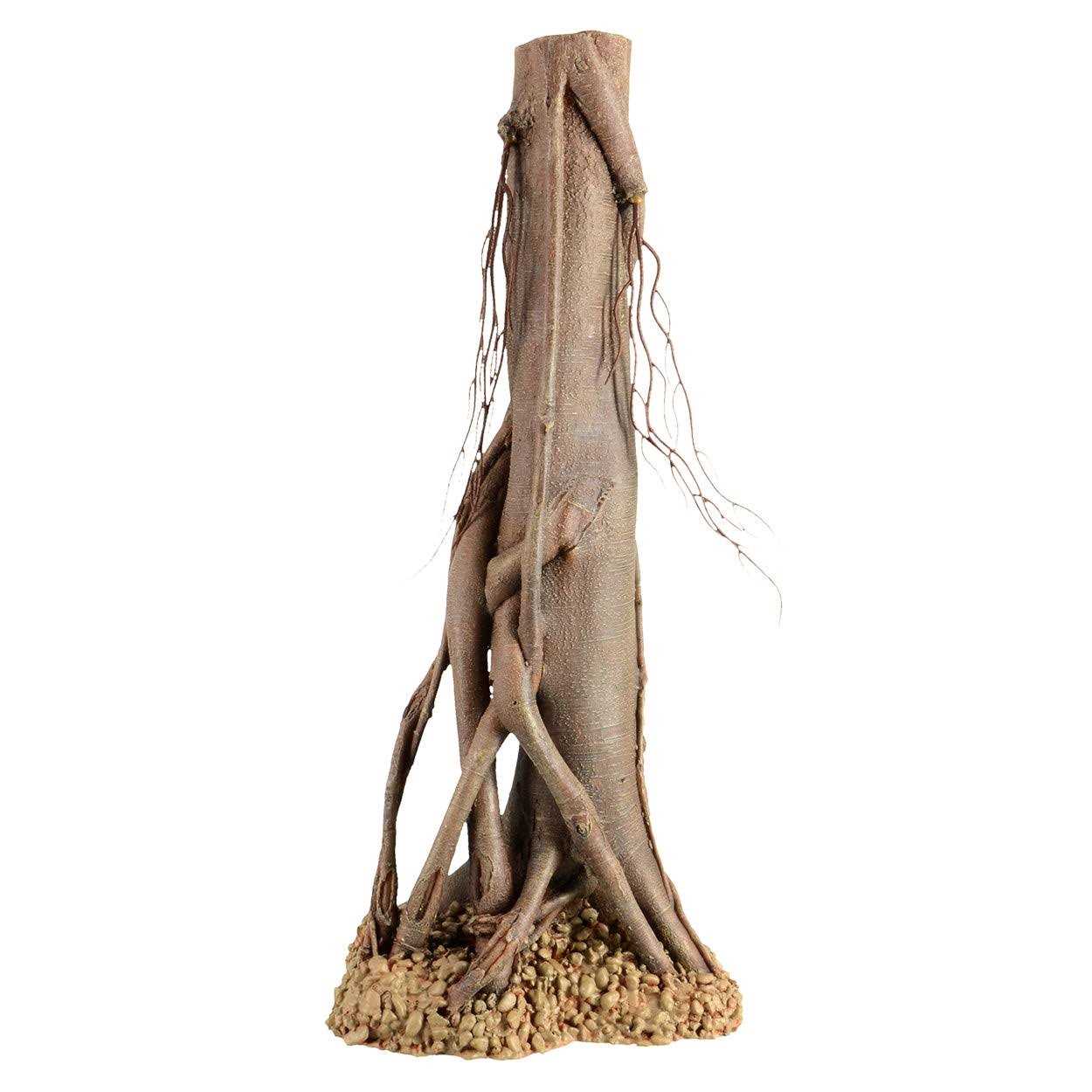Underwater Treasures Mangrove Root - Healthber
