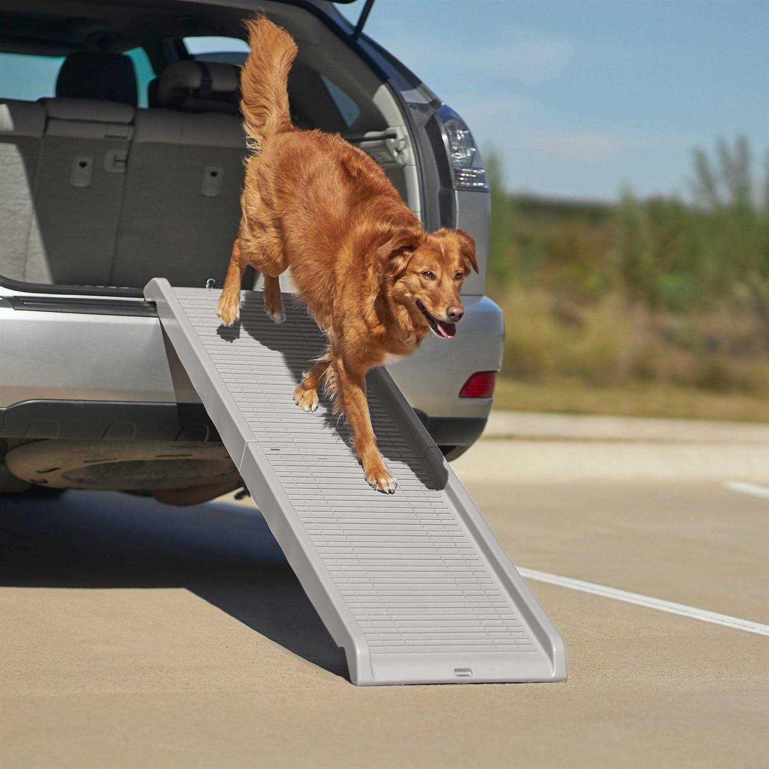 Frisco Bi-Fold Plastic Travel Pet Ramp - Healthber