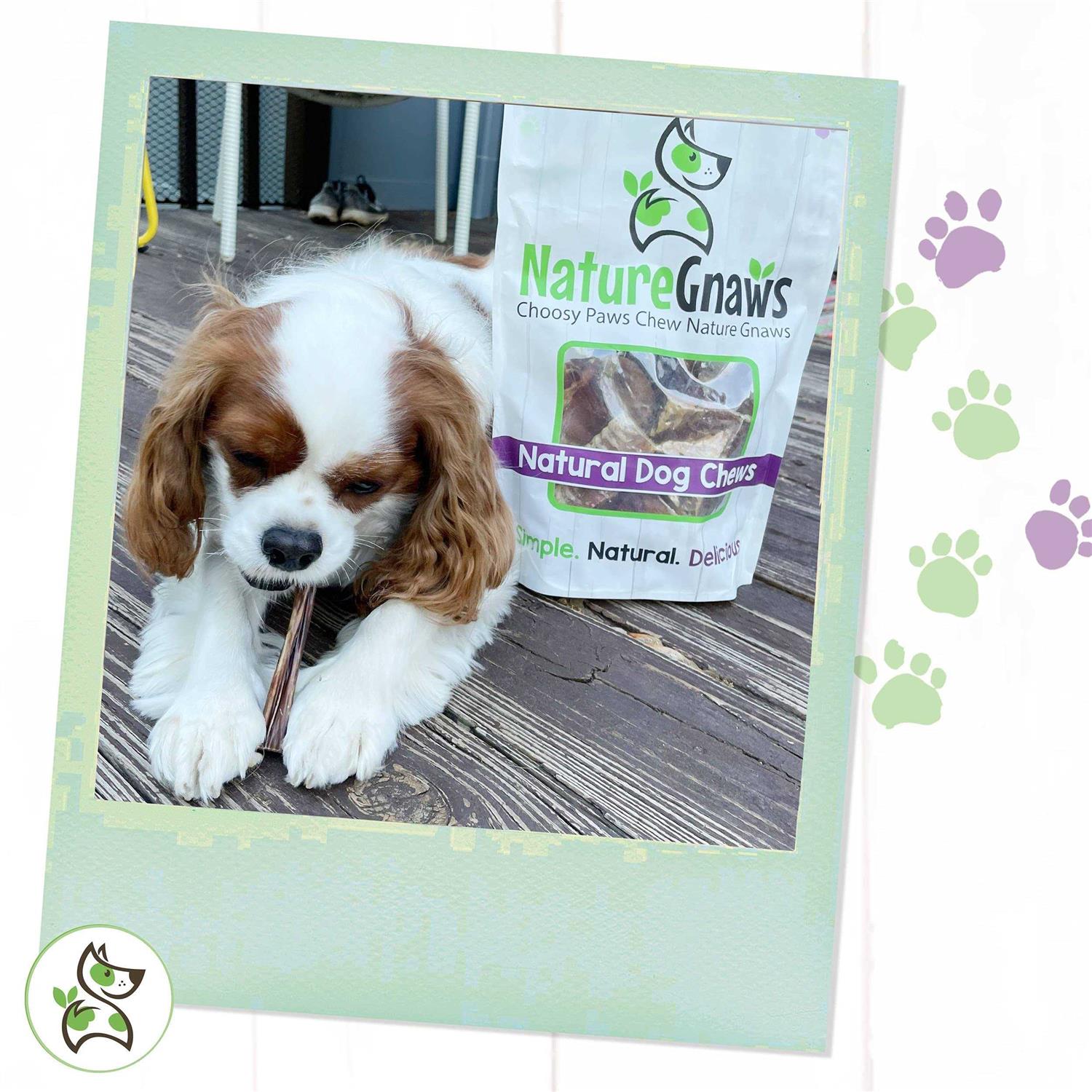 Nature Gnaws Bully Sticks for Dogs Premium Natural Beef Bones - Healthber