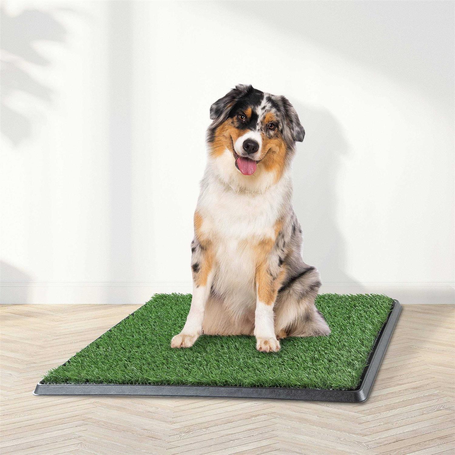 Petmaker Artificial Grass Puppy Dog Potty Pad with Tray - Healthber