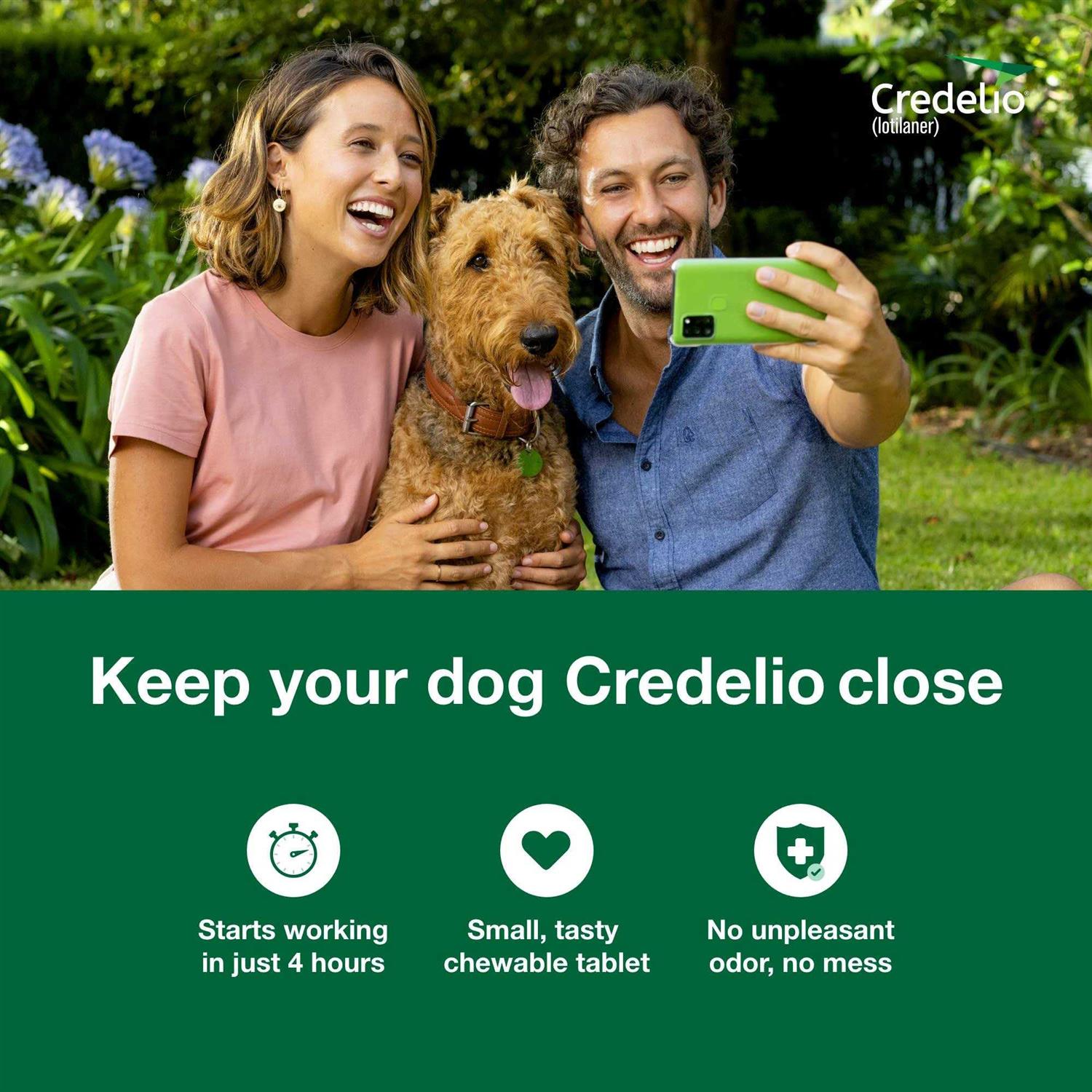 Credelio Chewable Tablet for Dogs 12.1-25 lbs - Healthber