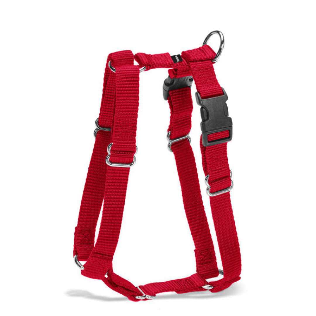 PetSafe Sure-Fit Harness - Healthber
