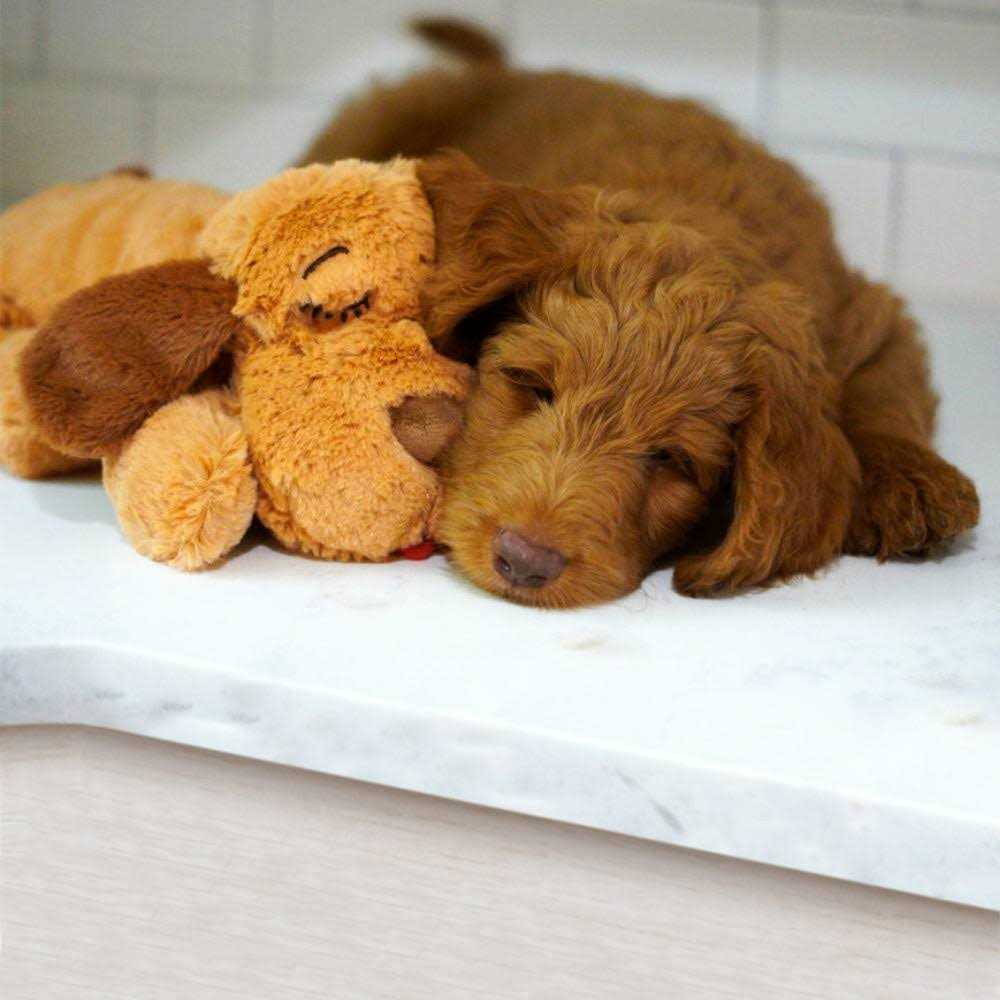 Snuggle Puppy Behavioral Aid Toy - Healthber