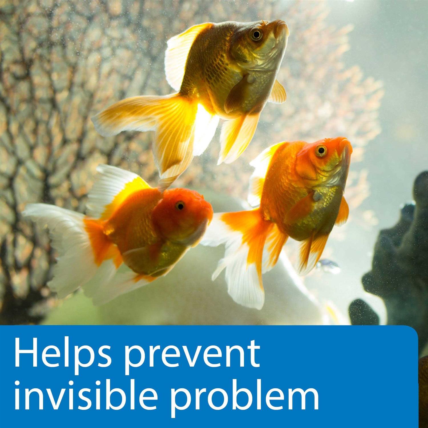 API 5 in 1 Aquarium Test Strips - Healthber