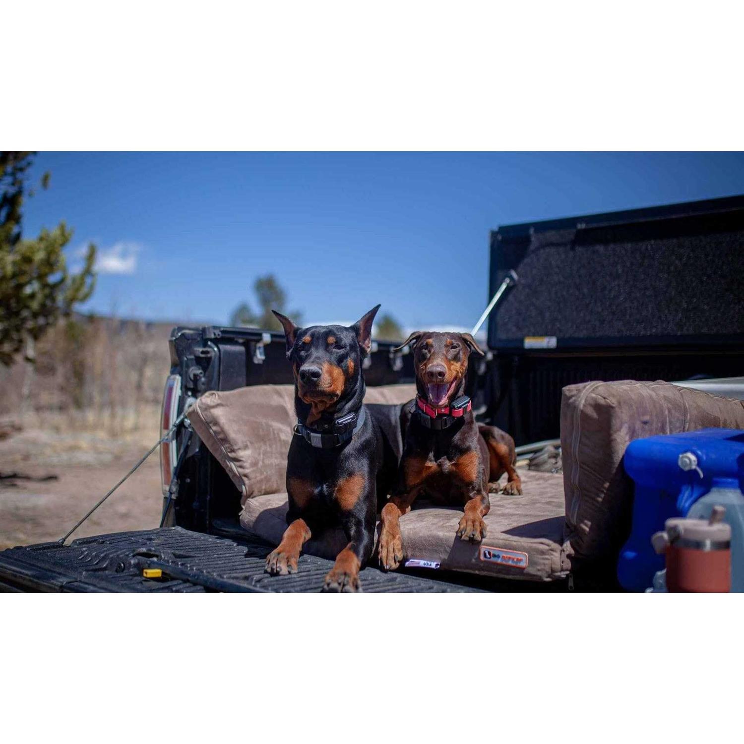 Big Barker Backseat Barker Travel Bed - Healthber