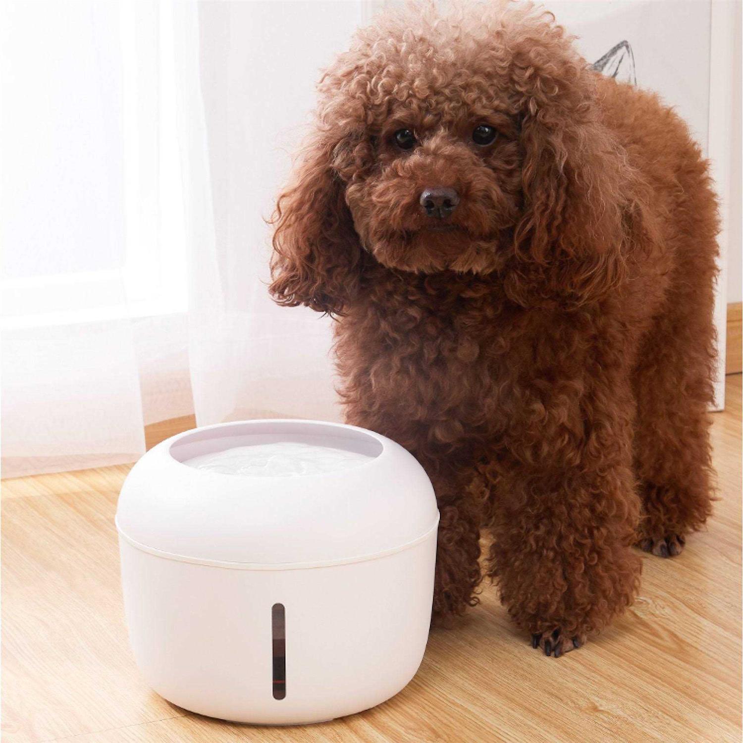 Pet Life Moda-Pure Ultra-Quiet Filtered Dog and Cat Fountain Waterer - Healthber