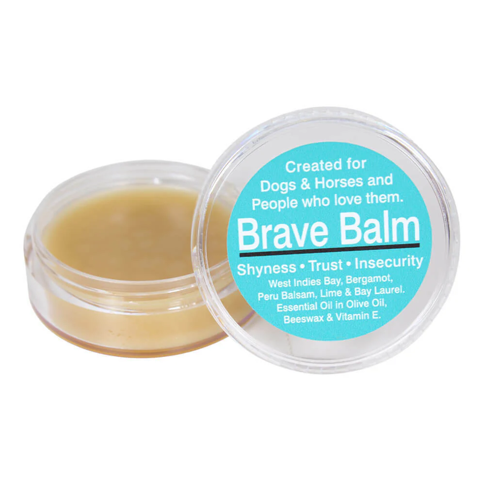 BlackWing Natural Remedies, Brave Balm, 2 oz - Healthber